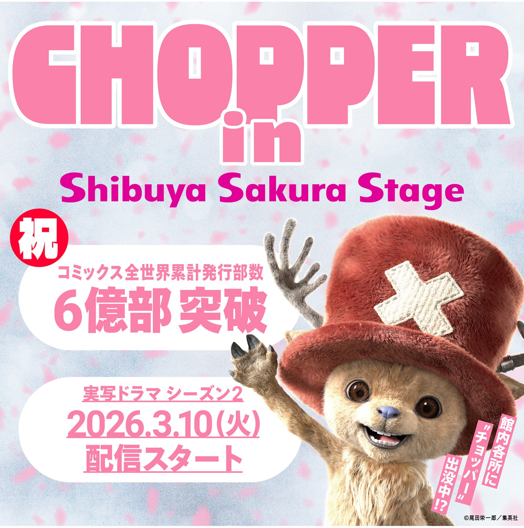 チョッパー サクラナイト in Shibuya Sakura Stage